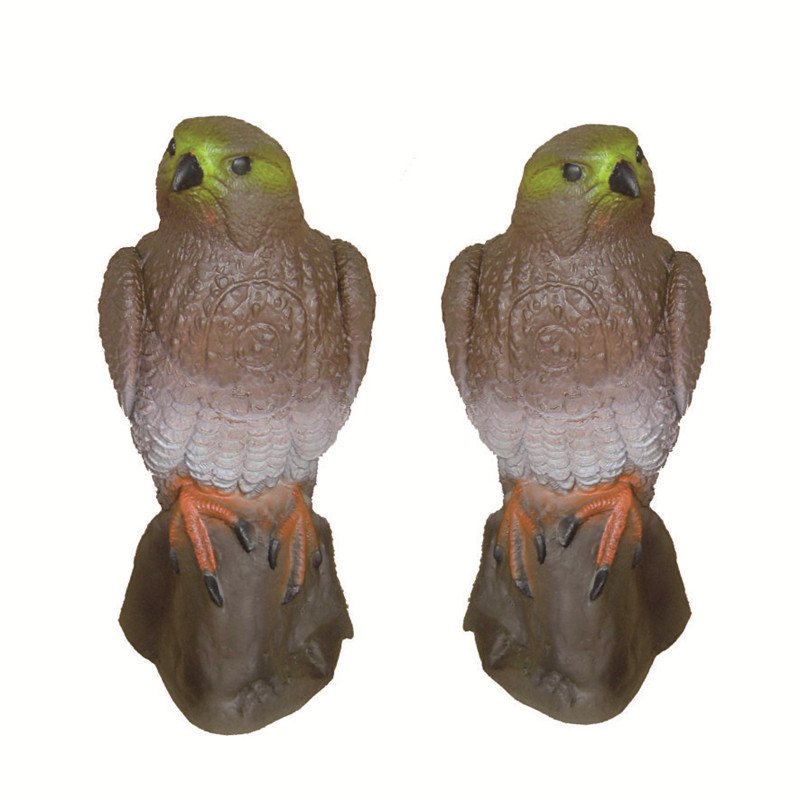 硬泡鳥(niǎo)